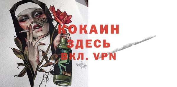 ешки Алексин