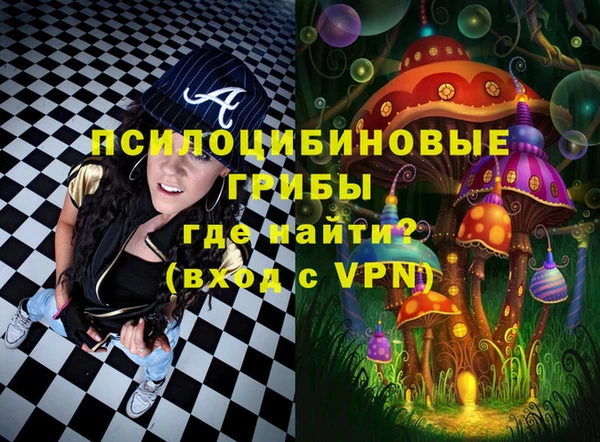 ешки Алексин