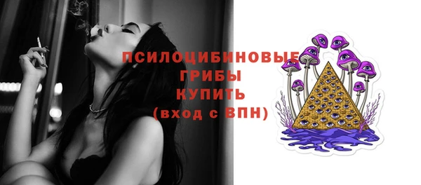 ешки Алексин