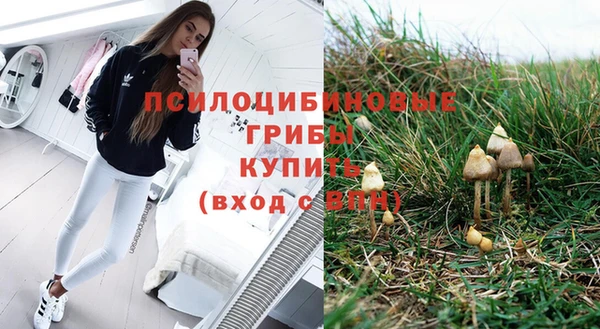 дживик Алзамай