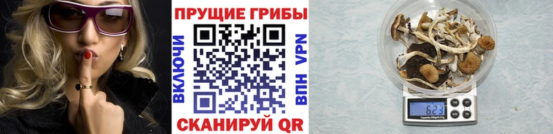 Псилоцибиновые грибы прущие грибы  omg tor  Туймазы 