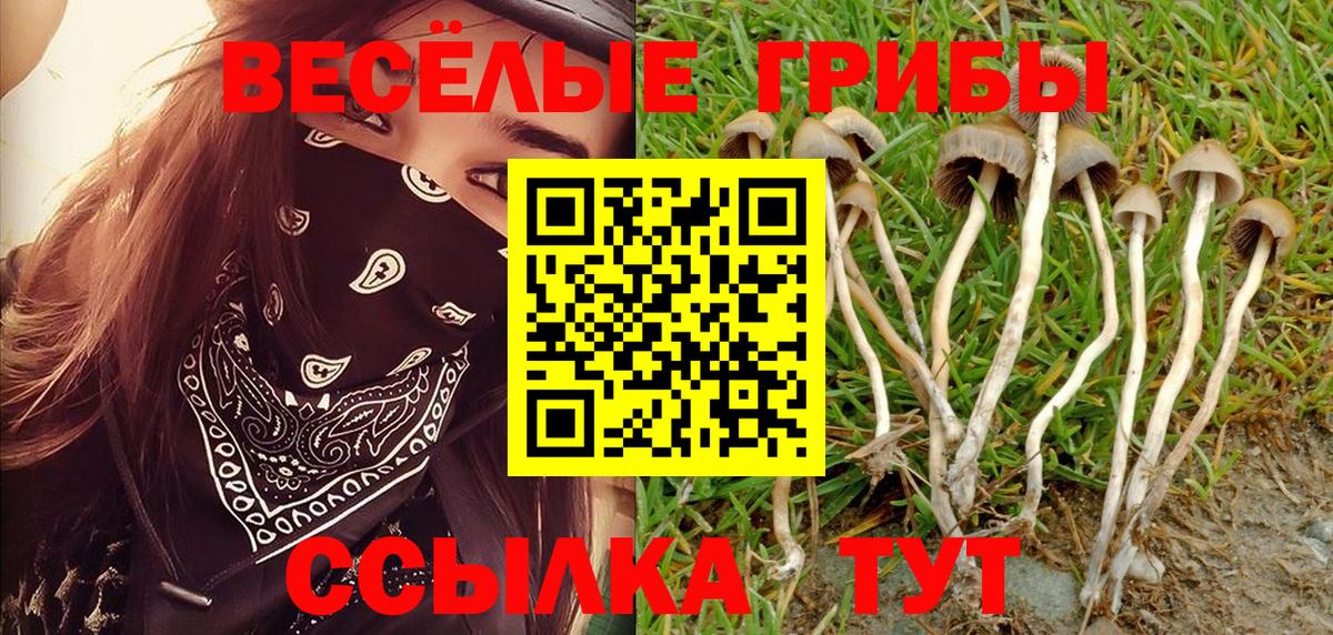 где купить наркотик  Псилоцибиновые грибы Psilocybine cubensis  Вход с VPN  Туймазы 