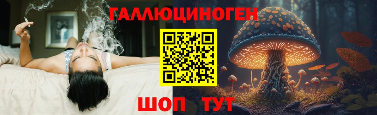 Псилоцибиновые грибы прущие грибы Туймазы